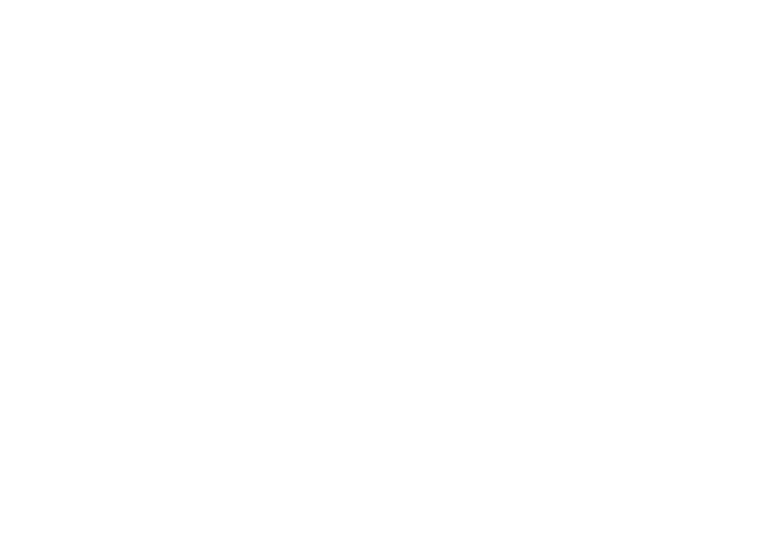 The Rizzuto Show